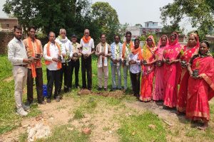 जरगांव वृक्षारोपण