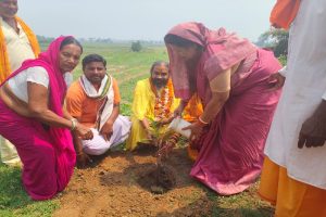 पर्यावरण संरक्षण भारत