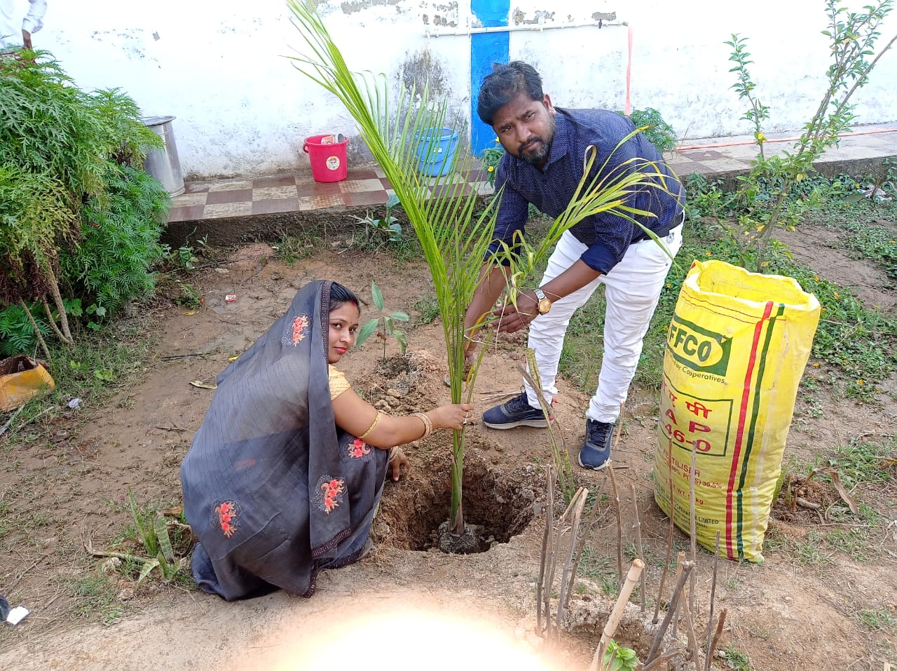 ग्राम पंचायत सकर्रा में किया गया वृहद वृक्षारोपण 