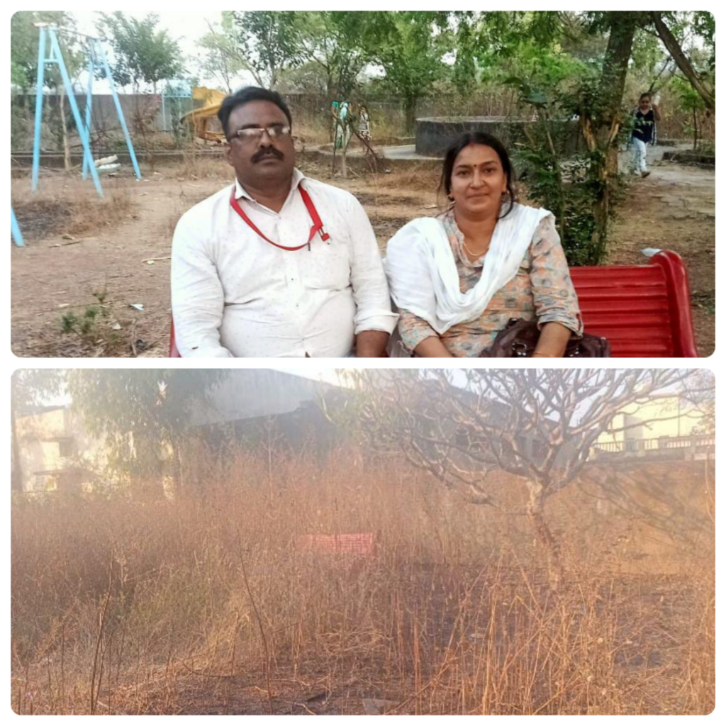 नगर पंचायत बोदरी बिलासपुर छत्तीसगढ़ स्थित वार्ड क्रमांक 7 के पार्क में उगे है जंगल-झाड़ कभी भी हो सकती है बड़ी दुर्घटना