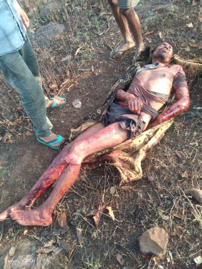 बाघ के हमले से 2 की मौत एक घायल… क्षेत्र में है दहसत का माहौल…मुस्तैदी के साथ डटा है प्रशासन…