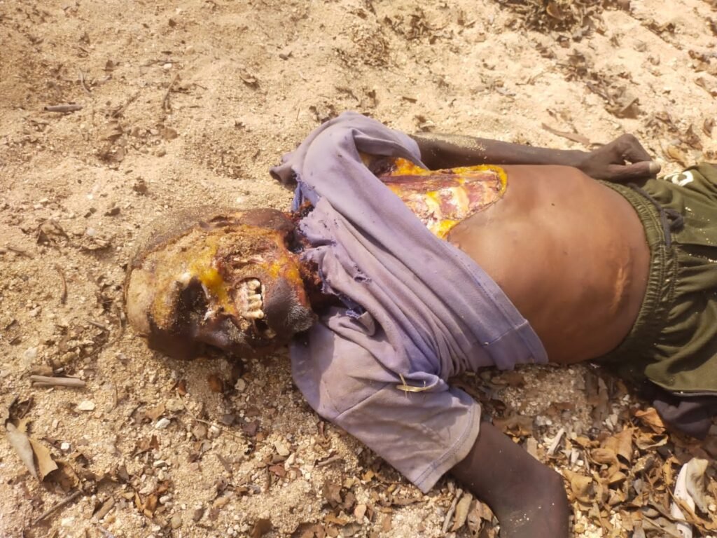 जंगल में मिला अज्ञात व्यक्ति का शव, चेहरे की जगह सिर्फ नजर आ रहा कंकाल, जांच में जुटी पुलिस..