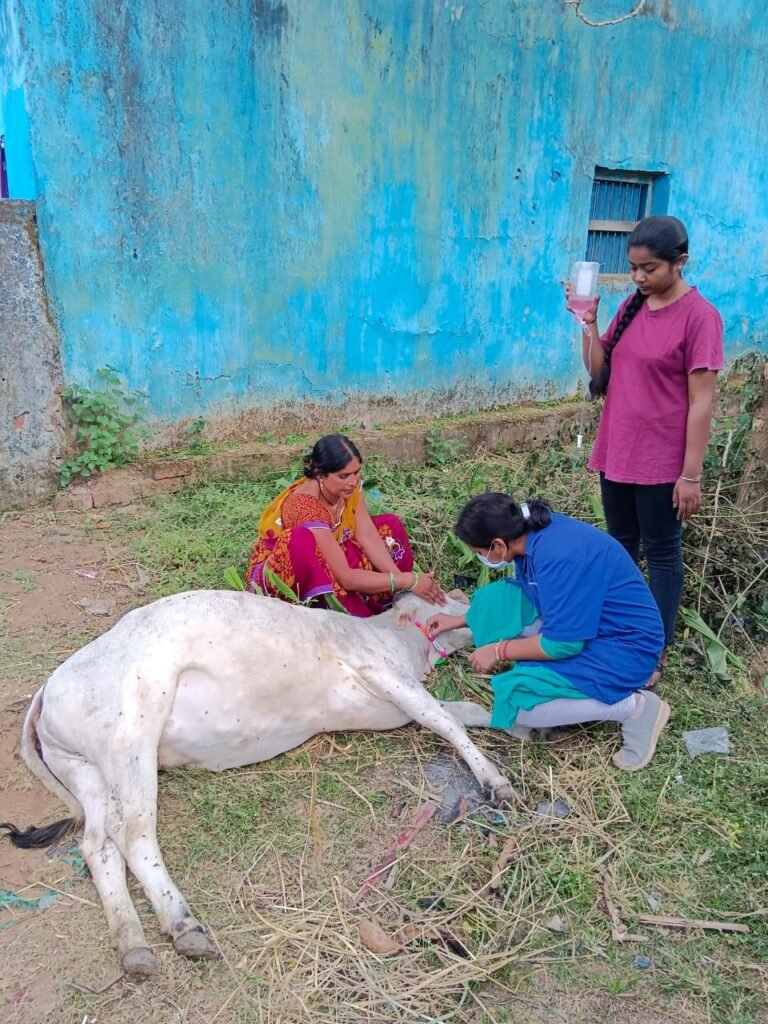 जिले के पशुपालक लम्पी बीमारी से रहे सावधान- जिला प्रशासन