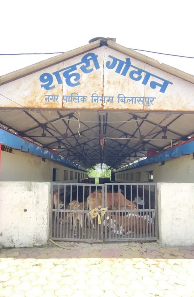 गोठानों ने महिला समूहों के जीवन में भरा आर्थिक संपन्नता का नया रंग