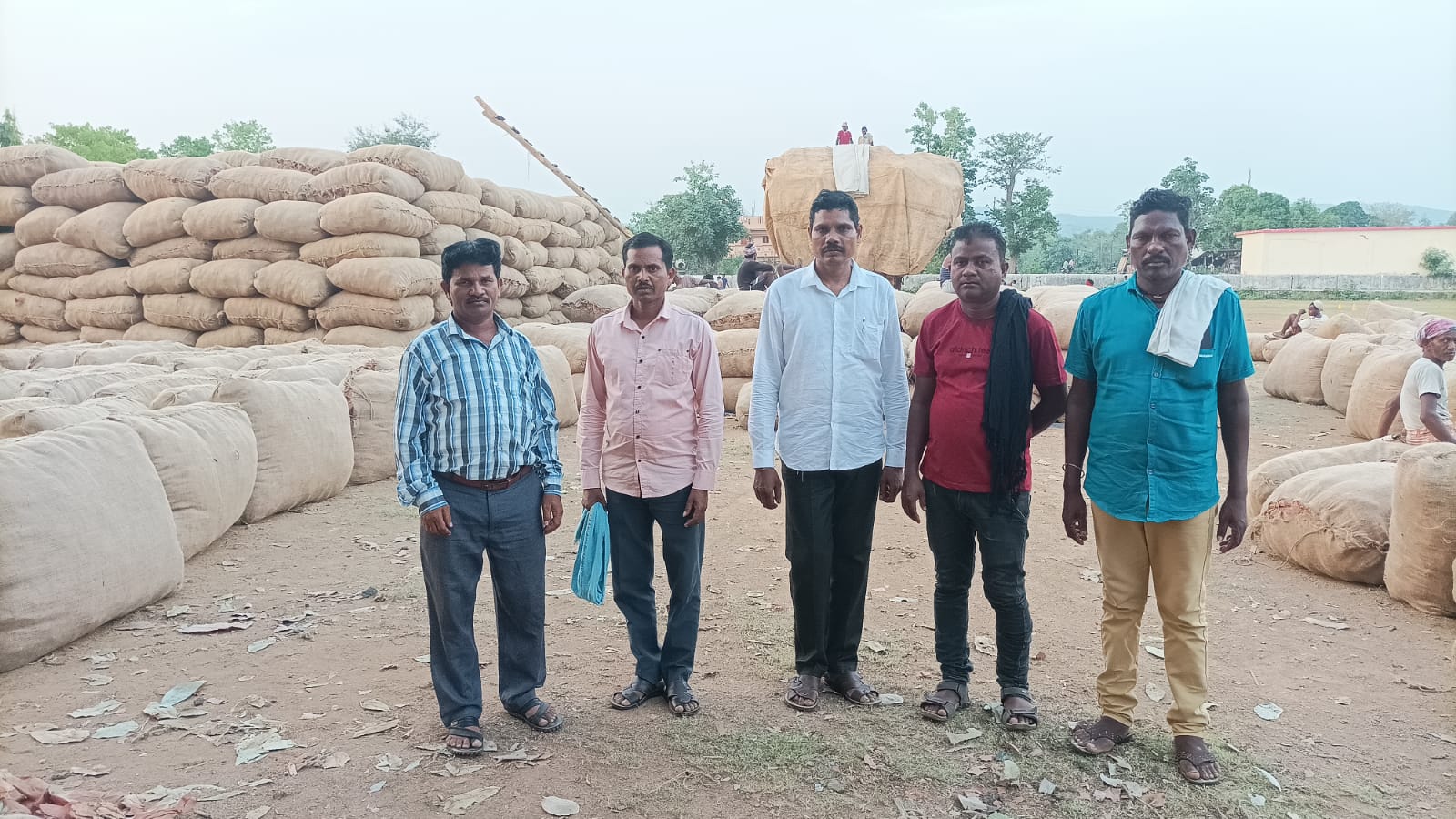 वनोपज सहकारी मर्यादित समिति जिला बीजापुर के द्वारा फड़ो का निरीक्षण किया गया है