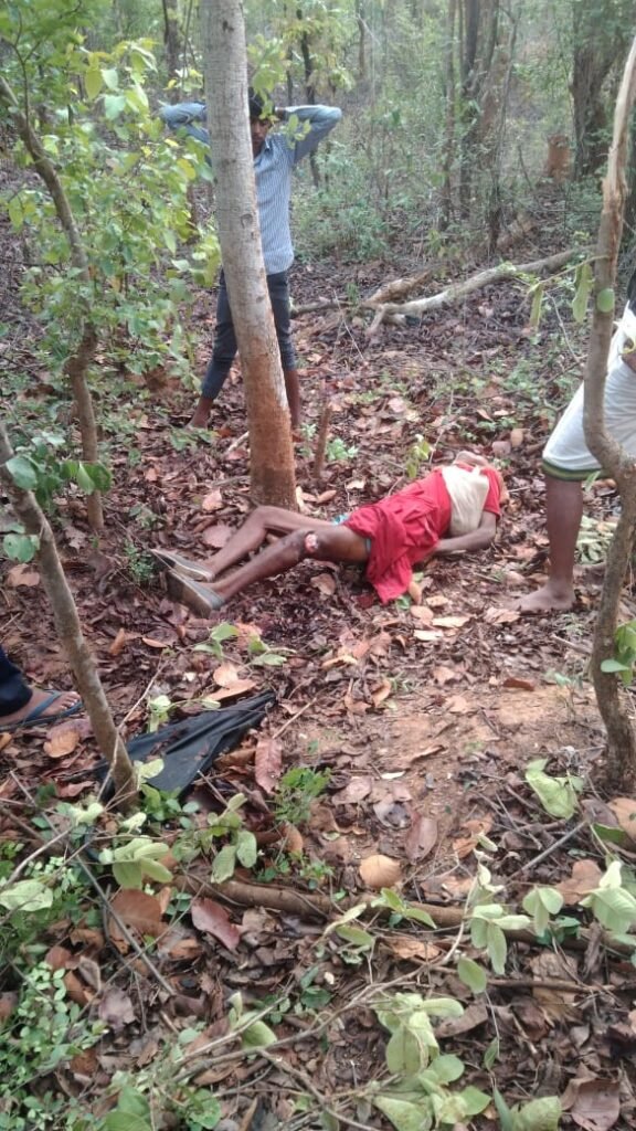 हाथियों ने चरवाहे को बेरहमी से कुचला, रात में जंगल पहुंचे विधायक, सुबह जंगल में मिला शव