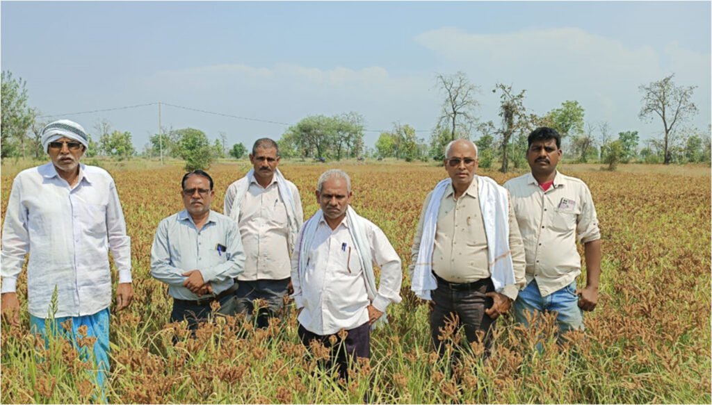 रागी की खेती कर किसानों के जीवन में आ रहा बदलाव