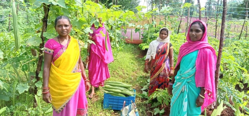 गोधन न्याय योजना जिले के पशुपालक किसानों के लिए बना वरदान