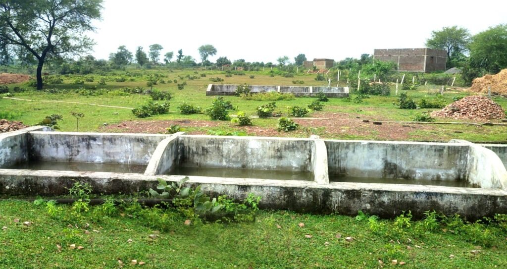 कुकुर्दीकेरा गोठान में गोधन न्याय योजना के तहत नियमित रूप से हो रही गोबर खरीदी