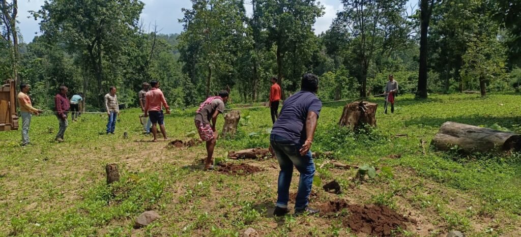 वन भूमि से अवैध कब्जा हटा कर किया गया पौधा रोपण