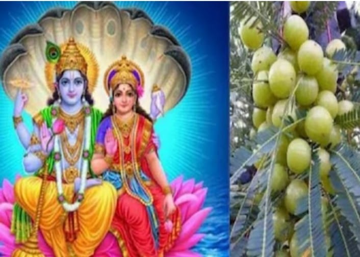 जानिए आंवला/अक्षय नवमी या जगधात्री पूजा महत्व – डा .बी. के. मल्लिक