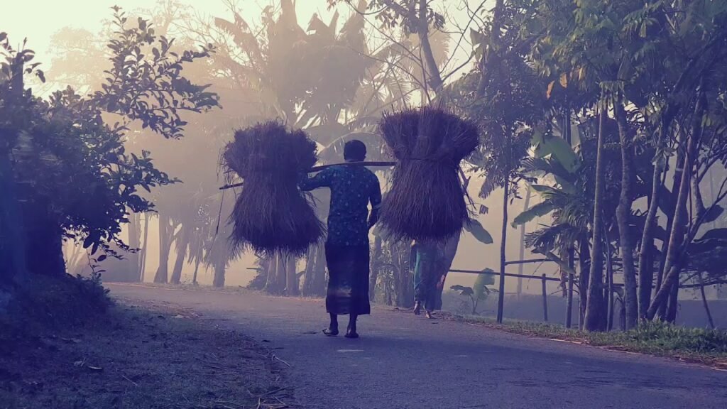 ठंड लगातार बढ़ रही, लोग सुबह शाम तफरी में बढ़ने लगे है।