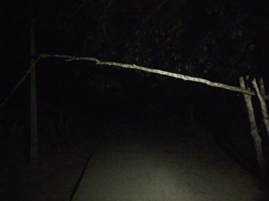 छुरा : सीमावर्ती चेक पोस्ट में शाम के बाद कर्मचारी अधिकारी नदारत, धान चोरों की बल्ले बल्ले