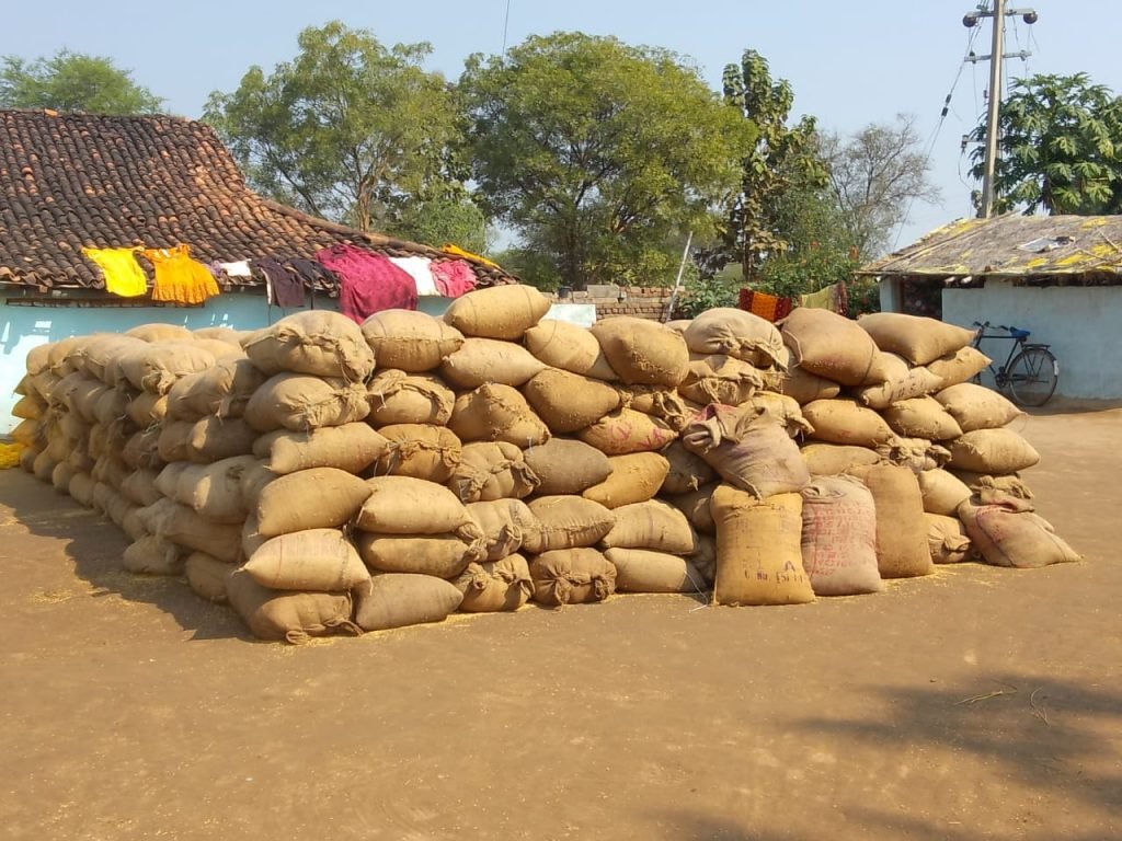 बरबहली में जप्त सुदा धान को ले जाकर दबांगाई दिखाना भारी पड़ेगा पूर्व सरपंच पति को।