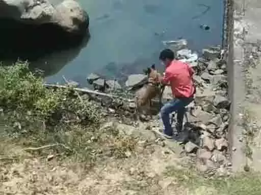 युवक की अधजली लाश मिली