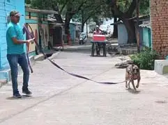 एसईसीएल कर्मी के आवास से नगद व आभूषण की चोरी