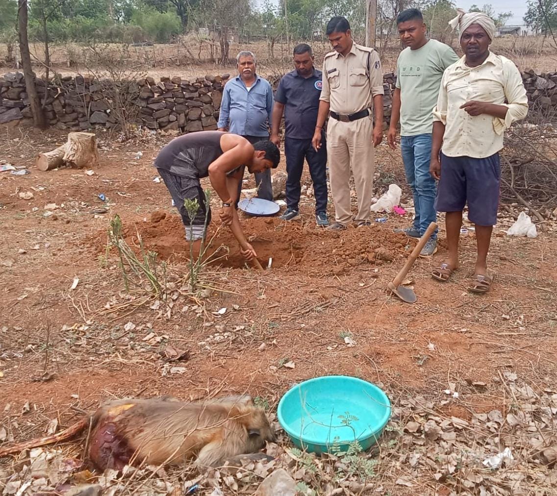 पुलिस ने किया मृत बंदर का अंतिम संस्कार