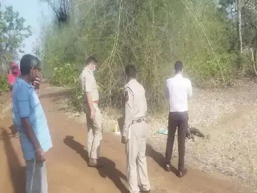 नहर किनारे झाडिय़ों में मिली सड़ी-गली लाश