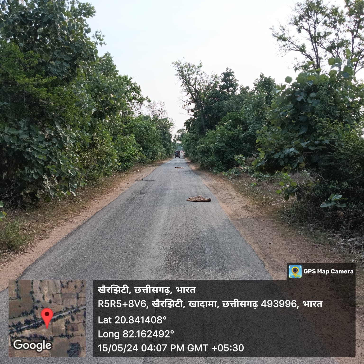 परेशानी : सड़क किनारे उगी बड़ी-बड़ी झाड़ियां दे रही मौत को दावत, वाहन चालक हो रहे दुर्घटना के शिकार