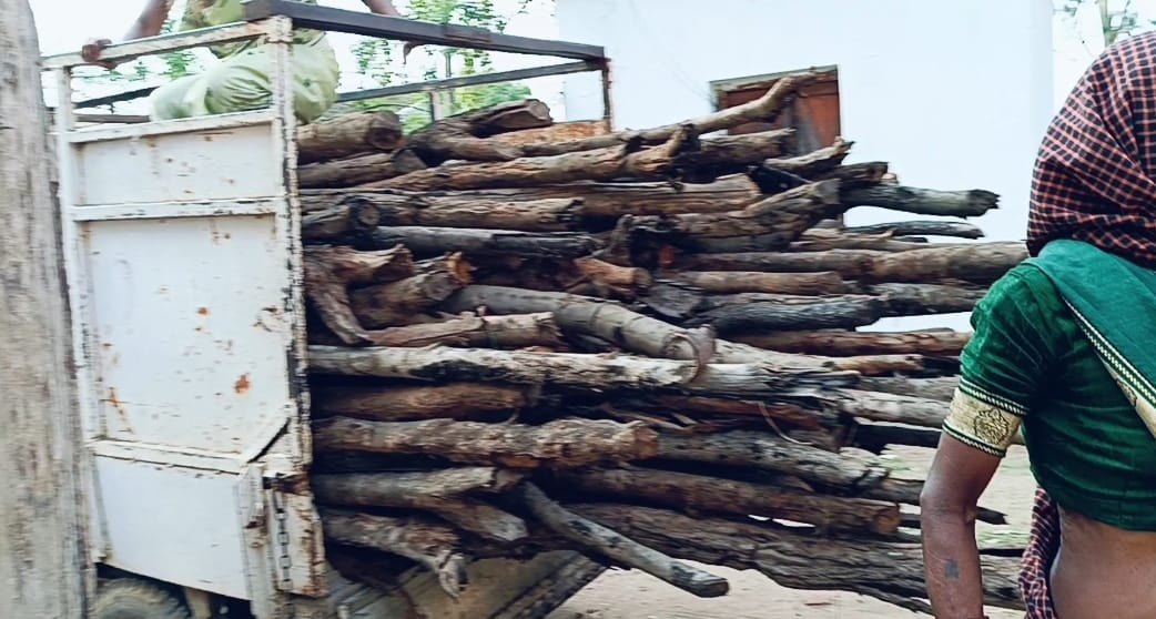 लखनपुर वन परिक्षेत्र कार्यालय में खुलेआम जप्त की गई लकड़ी को बिना नापतोल और रशीद के की जा रही है बिक्री।