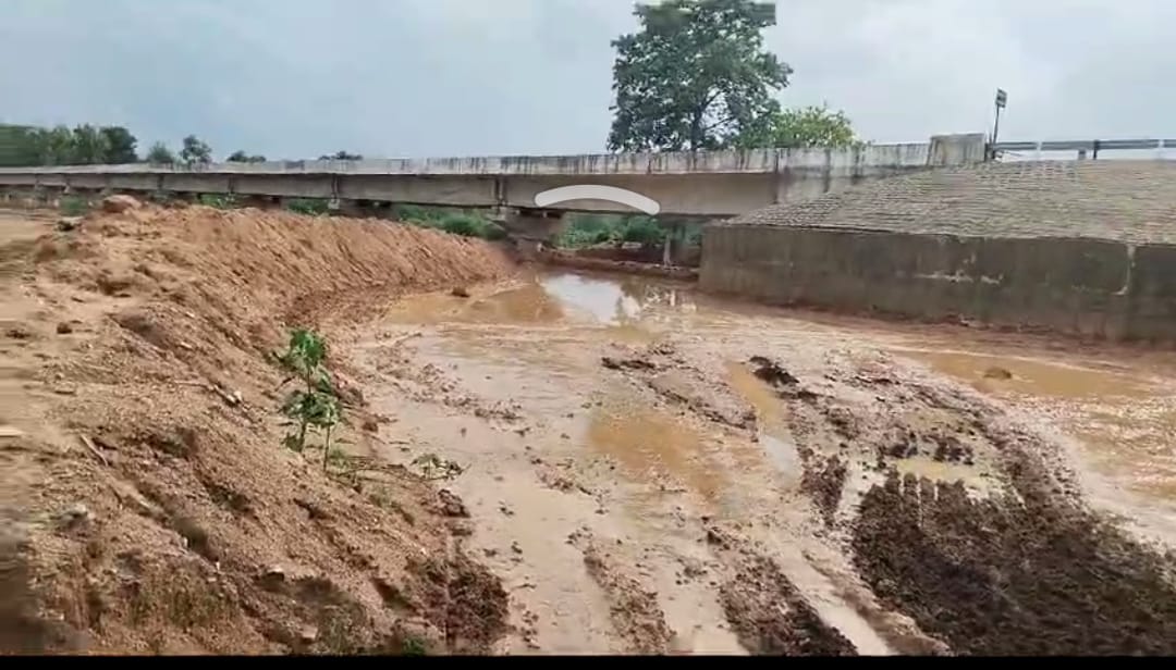 पंचायत सचिव द्वारा शासकीय जमीन का खरीदी बिक्री कब्ज़ा का खेल