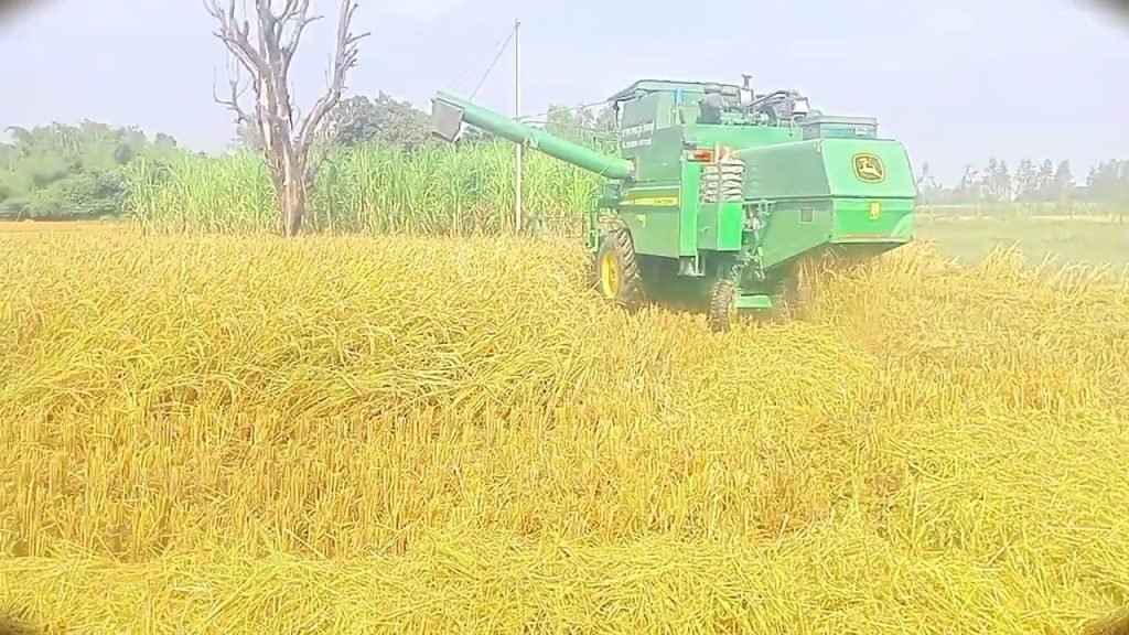 विकासखंड की तीनों सहकारी बैंक में कृषकों का बांटा जा रहा ऋण किसान नगद राशि, खाद एवं बीज लेकर कर रहे खरीफ फसल की तैयारी