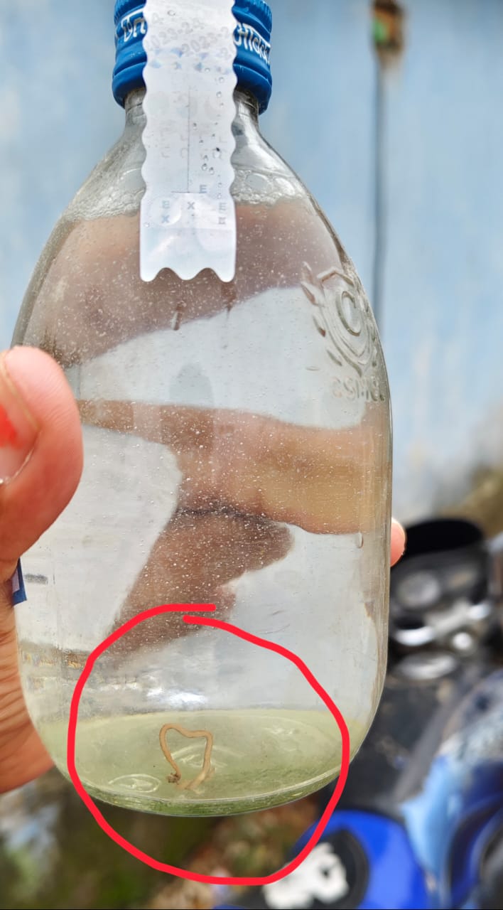 मदिरापान करने वाले सावधान : देशी शराब की बोतल में केंचुआ देख ग्राहक हैरान…