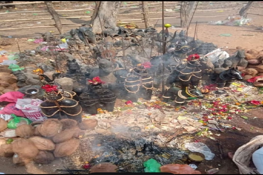 कल मिलेगा निराई माता के दर्शन का दुर्लभ अवसर, केवल पुरुषों का ही होता है प्रवेश