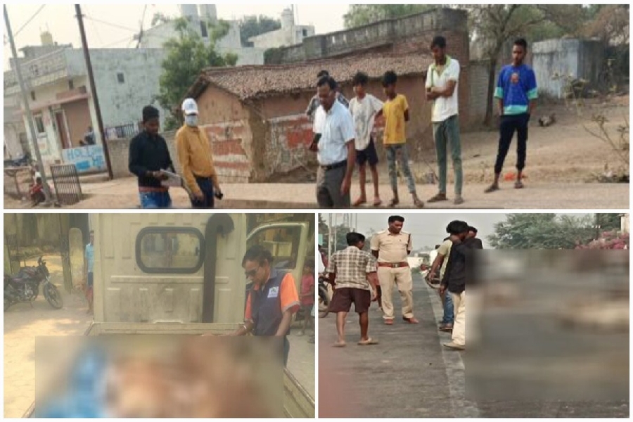 मौत का तांडव : तेज रफ्तार का कहर, 8 मवेशियों की दर्दनाक मौत…