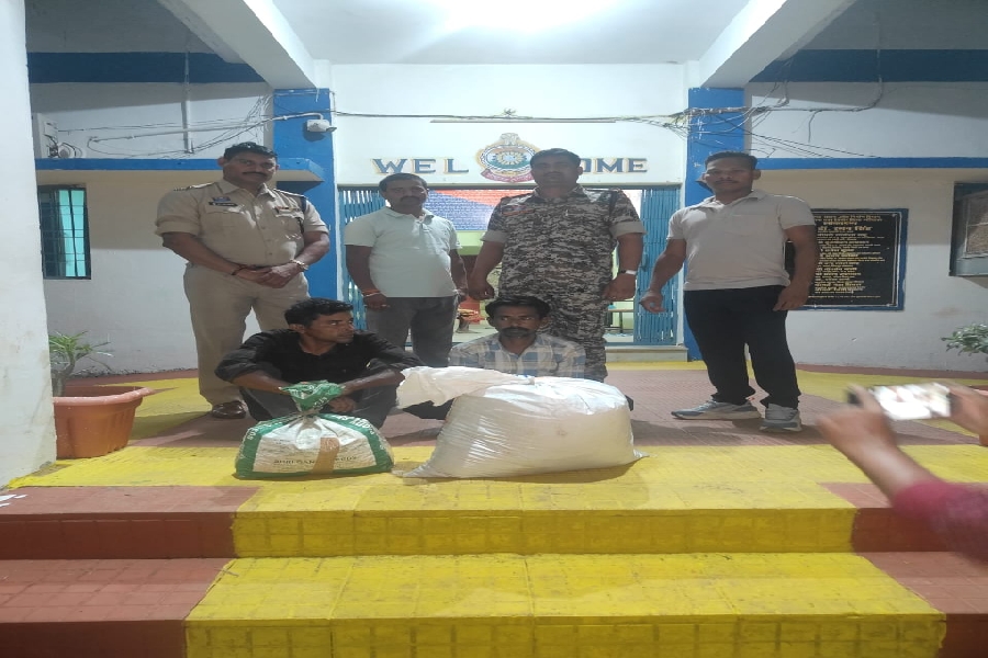 छत्तीसगढ़: उड़िसा बॉर्डर पर 2 तस्कर गिरफ्तार, भारी मात्रा में गांजा जब्त