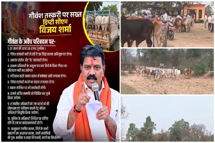 रायगढ़ में गौ तस्करी का महागठजोड़ : प्रशासन, पुलिस और सफेदपोशों की सरपरस्ती में बेखौफ तस्कर, सरकार के आदेश हवा में!…