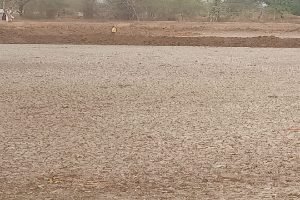 गरियाबंद जल संकट समाचार