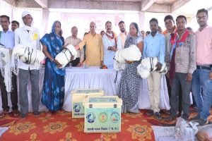 छत्तीसगढ़ ग्रामीण