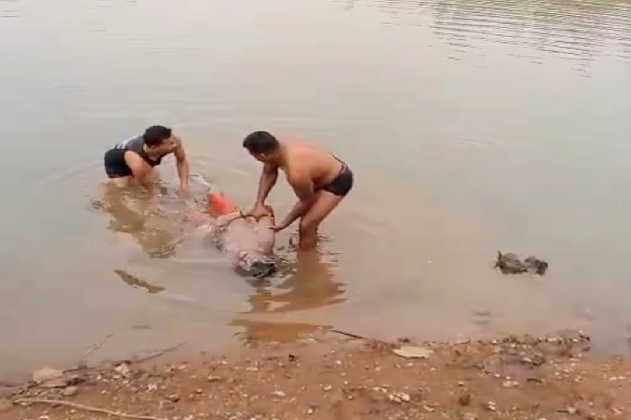 Cgnews:नहाने गया था मस्ती करने, लौटकर आई लाश — सलखिया के झरन डेम में दर्दनाक हादसा, तैरती मिली युवक की लाश, गांव में मातम का माहौल