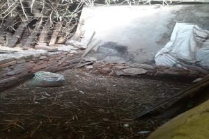 जगदलपुर समाचार