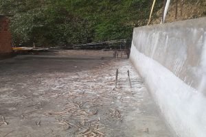 मिताली का आतंक