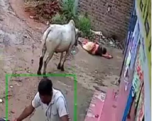 क्षणभर में आई मौत, महिला की उखड़ी सांस