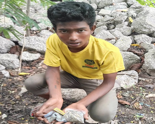 रायपुर : खुलेआम गांजा पी रहा युवक गिरफ्तार