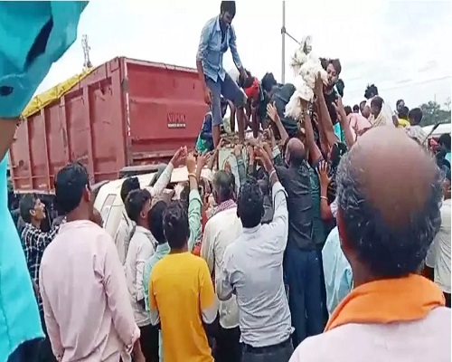 CG – मुर्गियों की लूट, वाहन पलटने के बाद टूट पड़े ग्रामीण