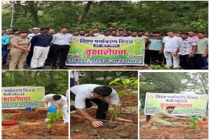 एक पौधा माँ के नाम अभियान