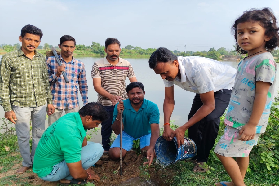 CG NEWS : छुरा में विश्व पर्यावरण दिवस बना हरियाली का उत्सव , पतंजलि योग समिति के नेतृत्व में वृहद पौधारोपण महाभियान, मियावाकी तकनीक और ‘एक पेड़ मां के नाम’ अभियान से मिली नई ऊर्जा