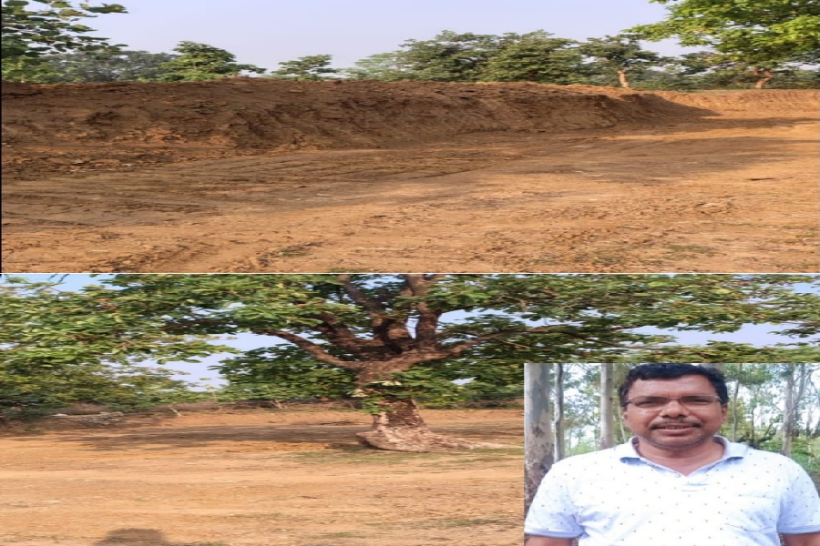पाली जमीन कब्जा