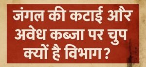 रेंजर लीला पटेल आरोप