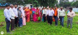 कलेक्टर बी एस उइके वृक्षारोपण