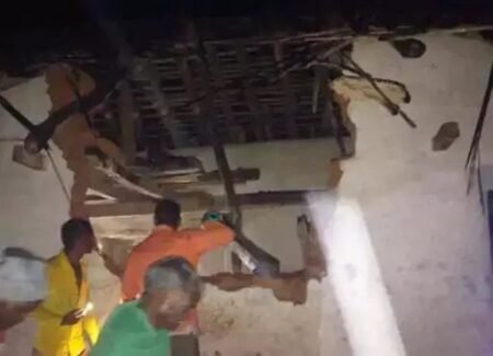 रायगढ़ हाथी हमला