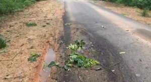 PWD भ्रष्टाचार बीजापुर