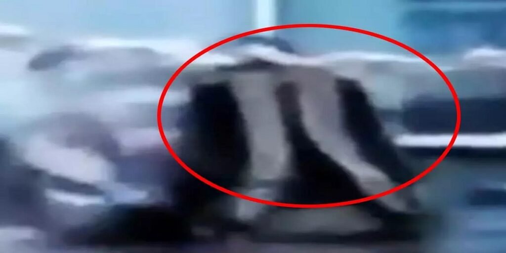 रायपुर एयरपोर्ट के एंट्री गेट के पास लावारिस बैग ने बढ़ाई टेंशन