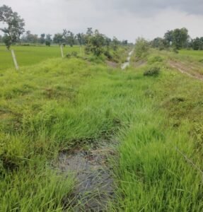 फिंगेश्वर जल संसाधन विभाग भ्रष्टाचार