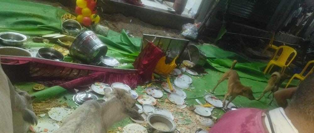Accident At House Warming Ceremony :तेज रफ्तार कार ने घर की खुशियाँ छीनी, समारोह में घुसकर मचाई तबाही