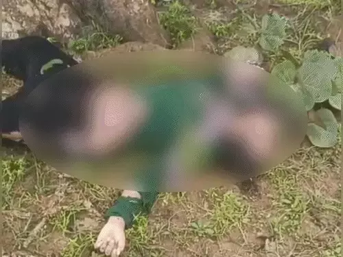 CG: बिजली गिरने से युवक-युवती की मौत, मौसम विभाग ने जारी किया यलो अलर्ट